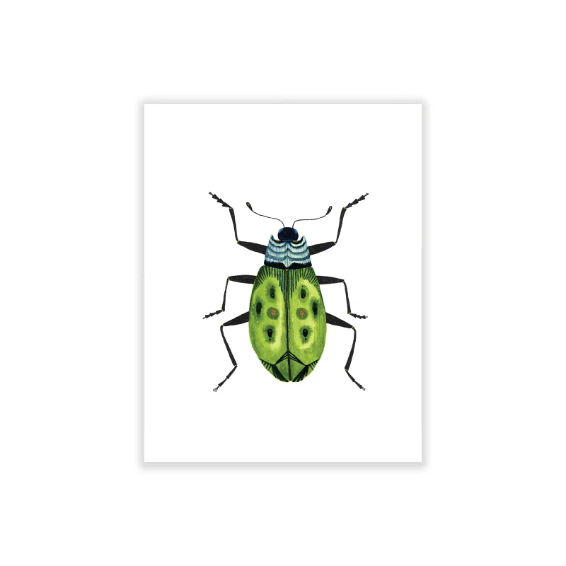 Beetle: Serenity / Boxed Blank Note Cards