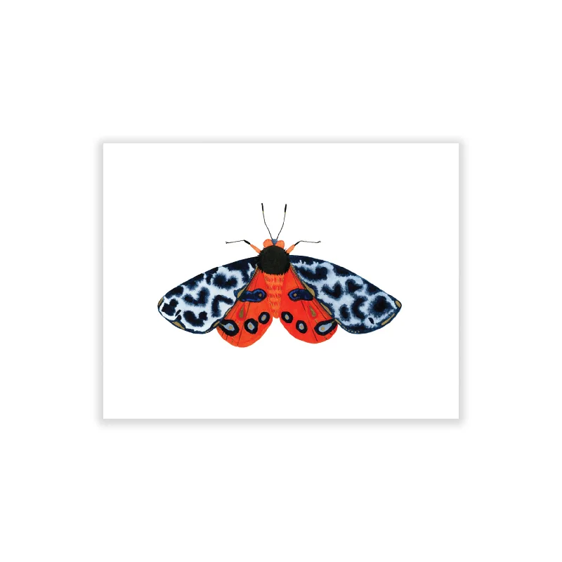 Tiger Moth: Integrity / Boxed Blank Note Cards